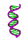 Twirling DNA Animated Gif